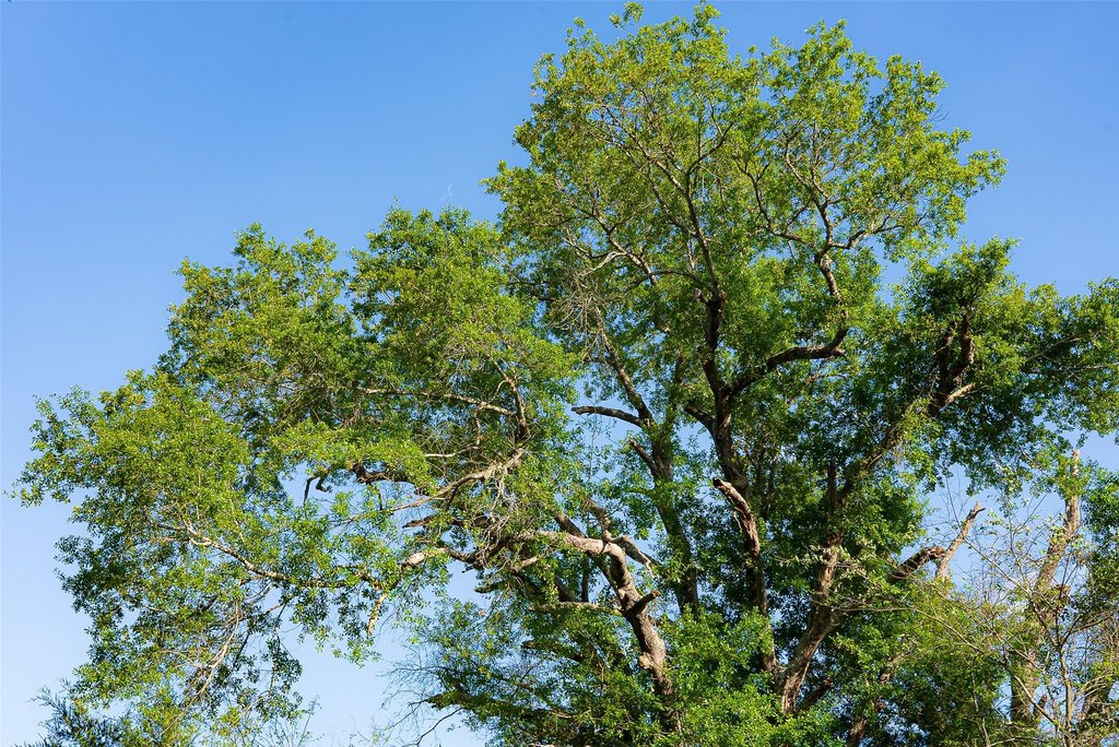 Picture 19