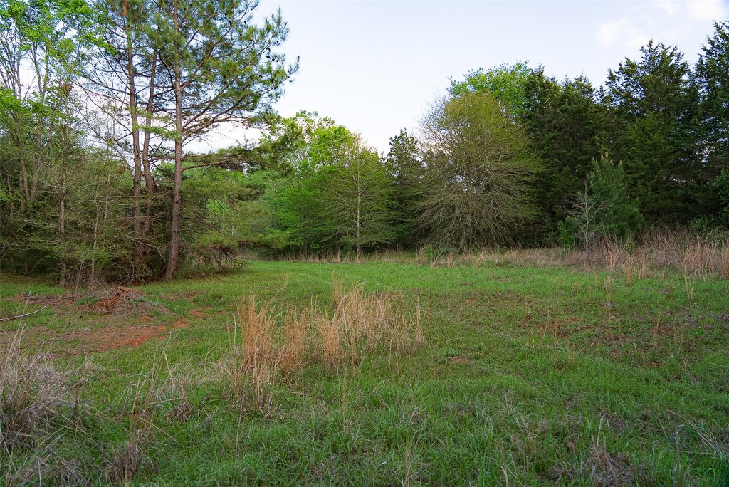 Picture 20