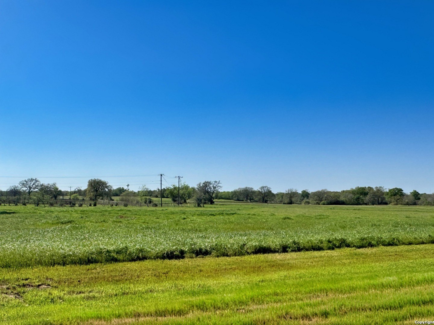 Residential Land in Iola, TX