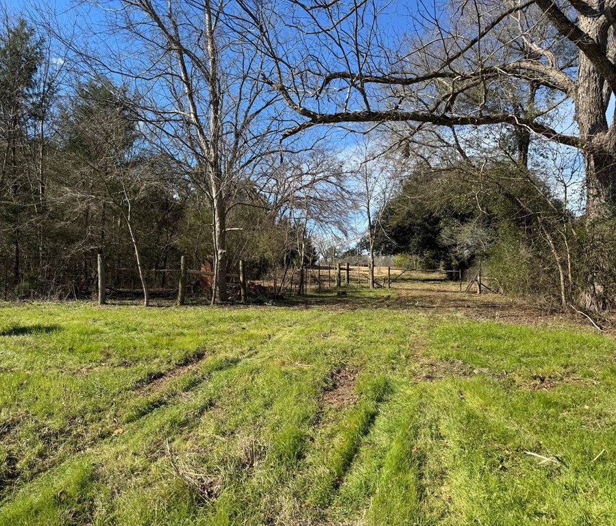 Picture 17