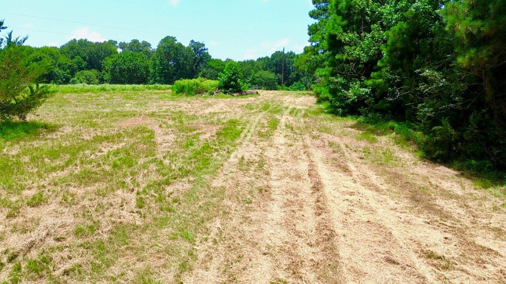 Picture 19