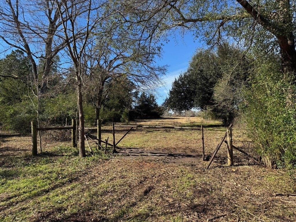 Picture 16