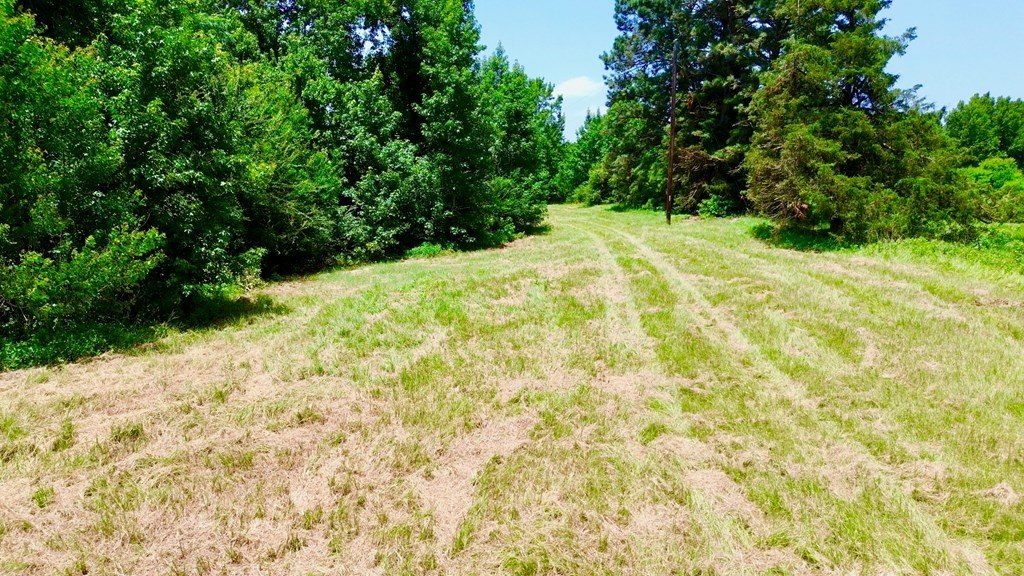 Picture 13