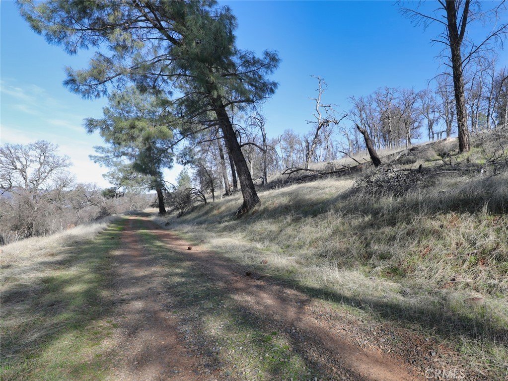 Picture 19