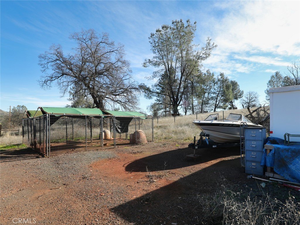 Picture 20