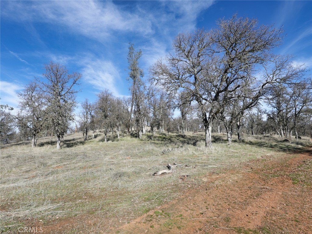 Picture 36