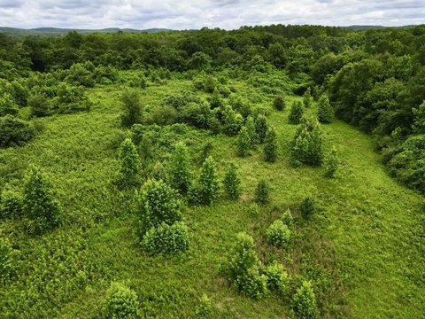 Recreation Land with Creek Frontage