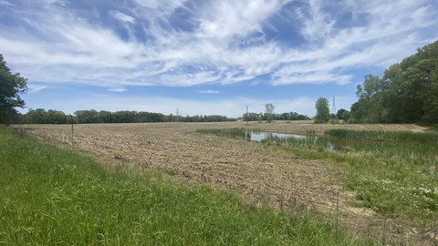 Farmland in Gregory, Michigan
