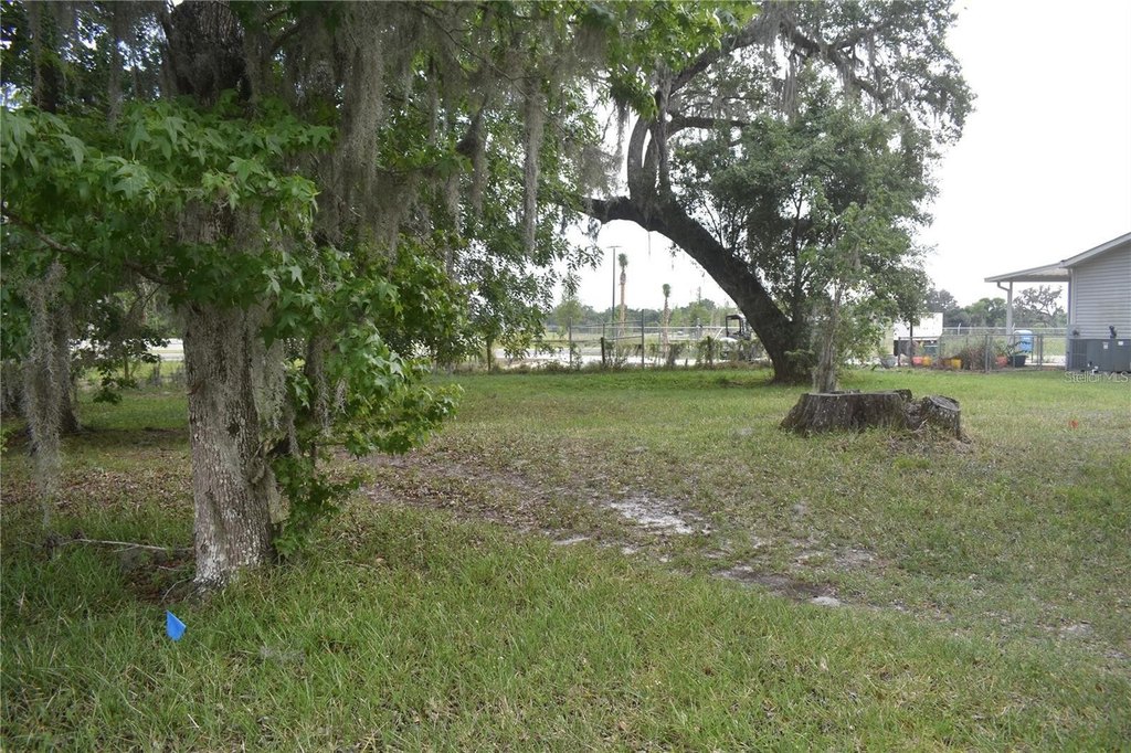 Picture 4