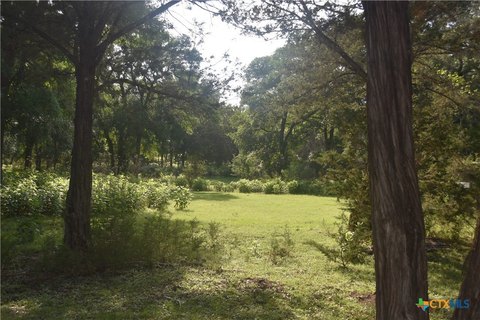 100 Acres of Texas Paradise