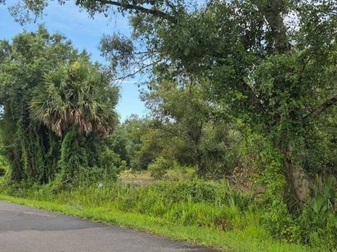 Okeechobee Vacant Land Opportunity