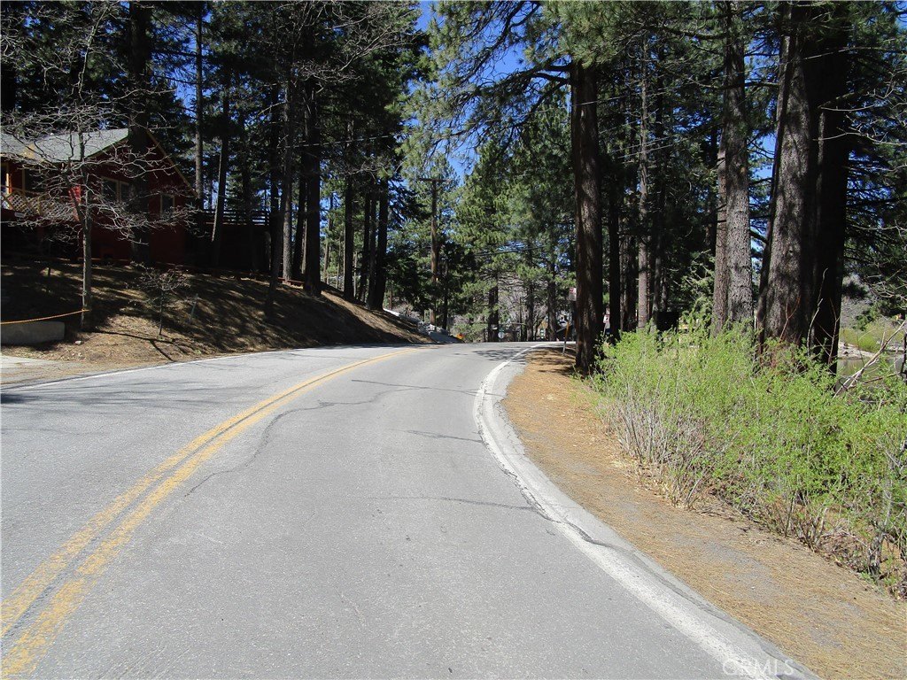 Picture 15
