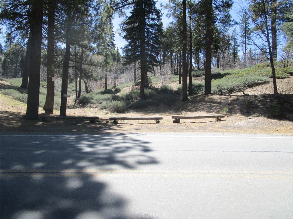 Picture 12