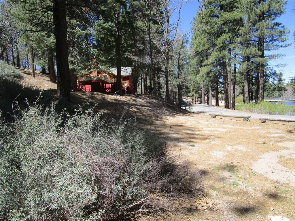 Picture 3