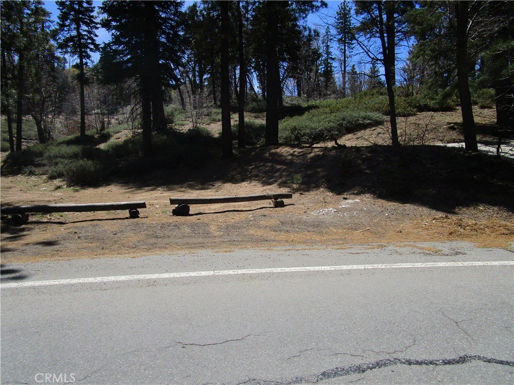 Picture 5