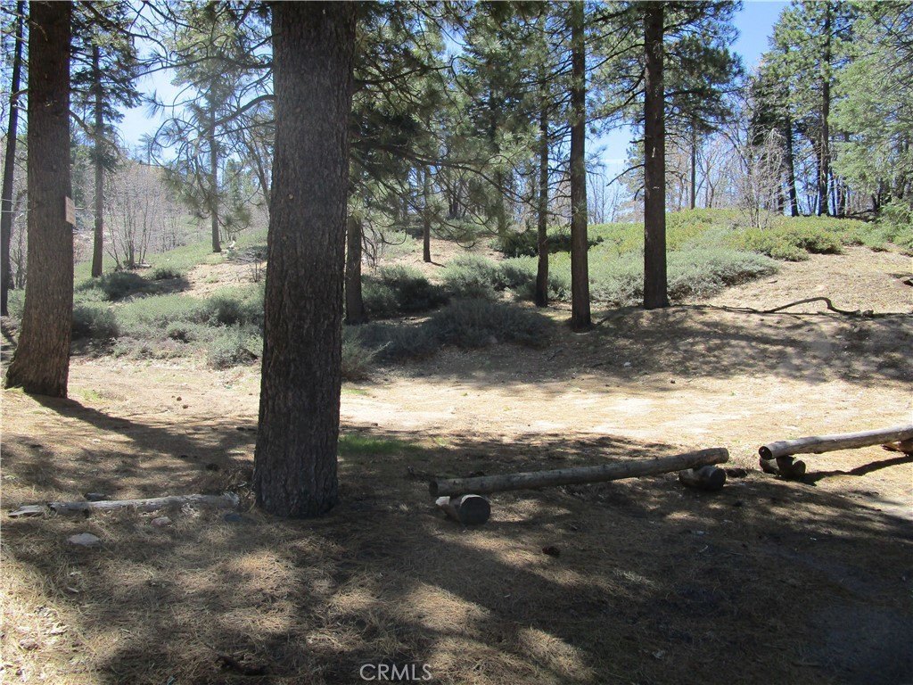 Picture 9