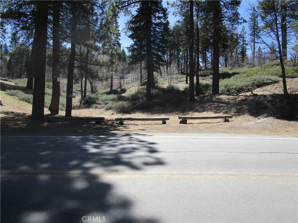Picture 13