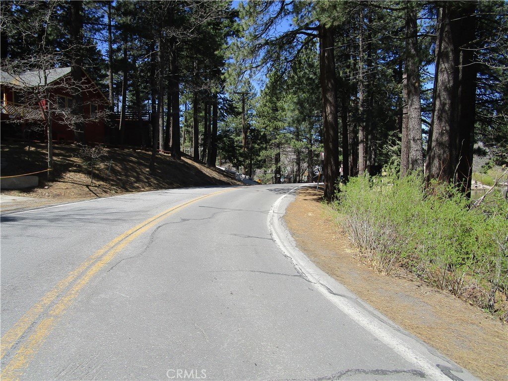 Picture 16
