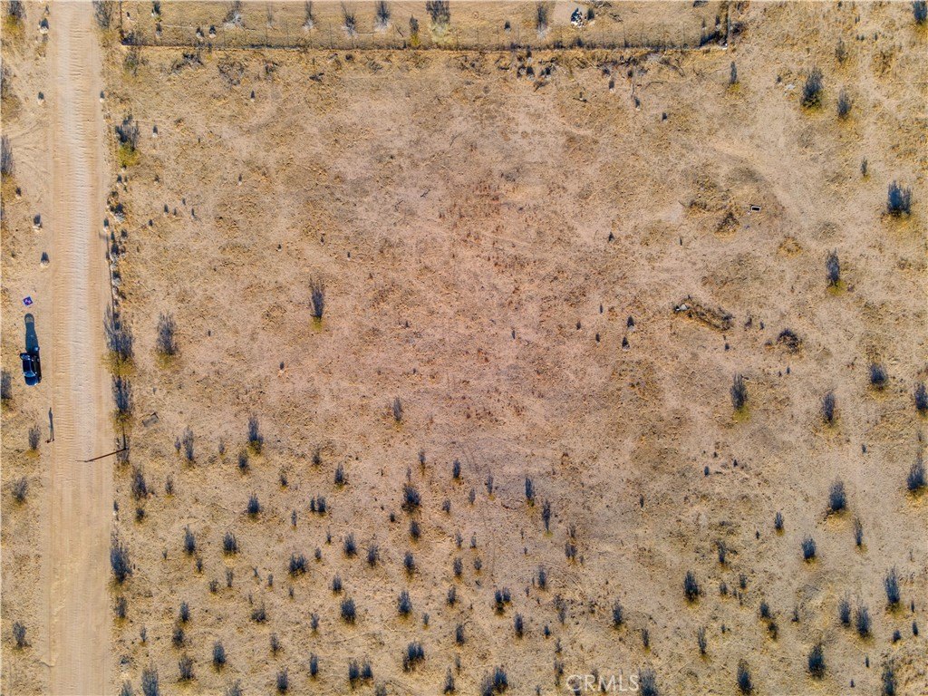 Picture 14