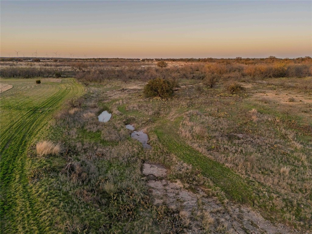 Picture 23