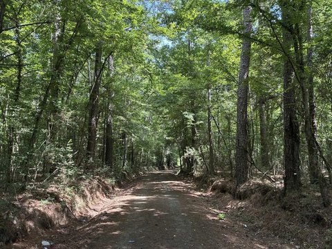 LAND - Shelbyville, TX
