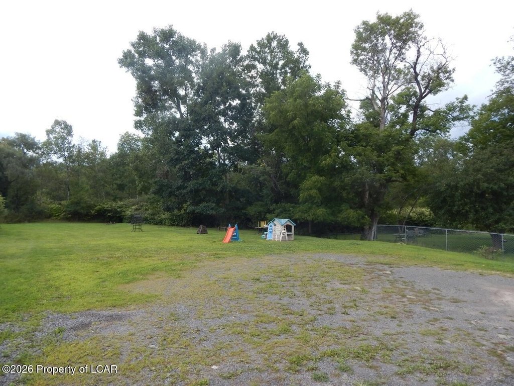 Picture 7