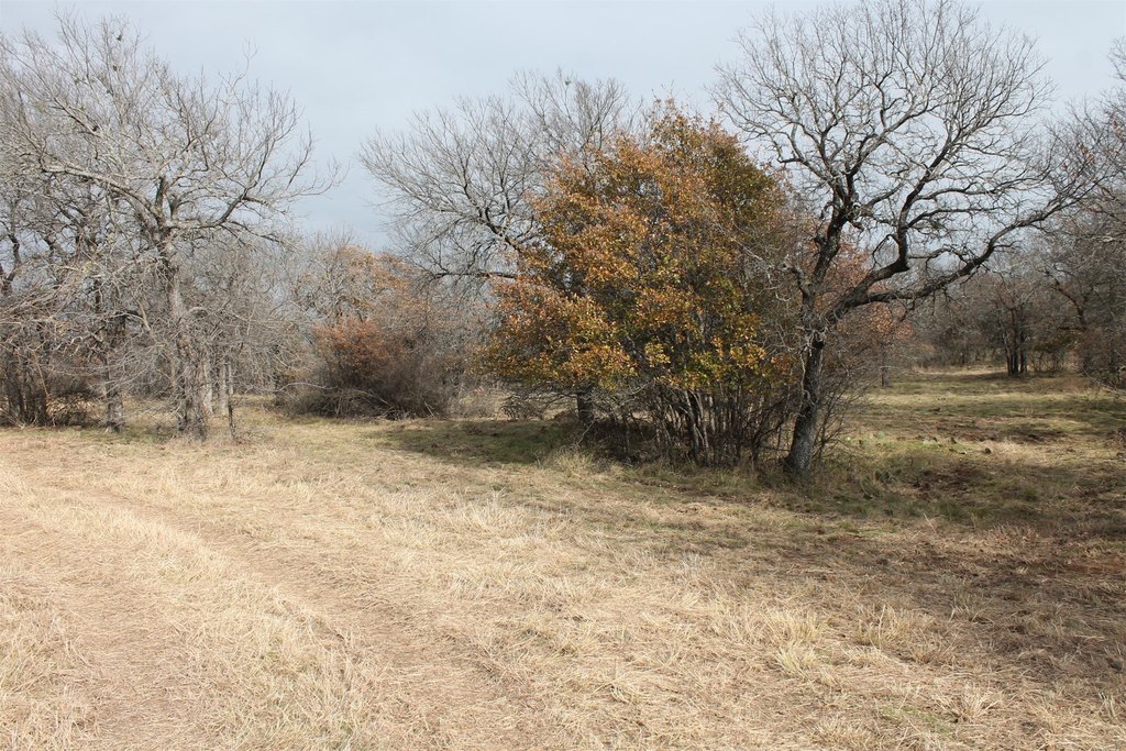 Picture 3