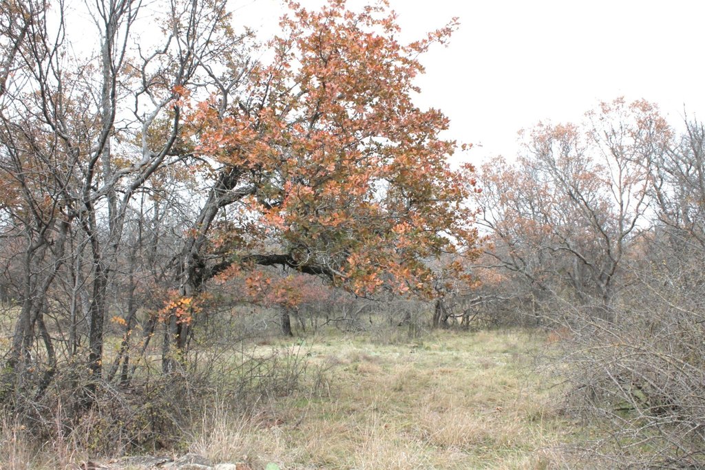 Picture 8