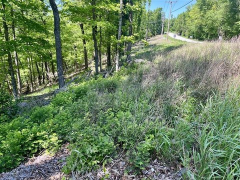 Holiday Island Wooded Lot