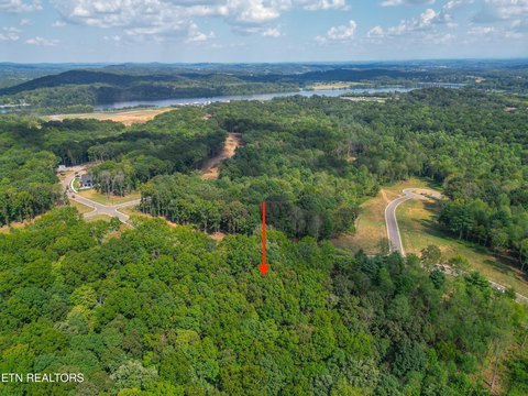 Lots & Acreage, Loudon, TN