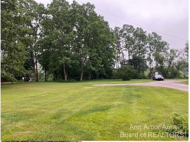 Pinckney Commercial Property For Sale