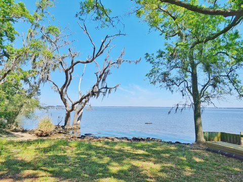 Waterfront Property in Santa Rosa Beach