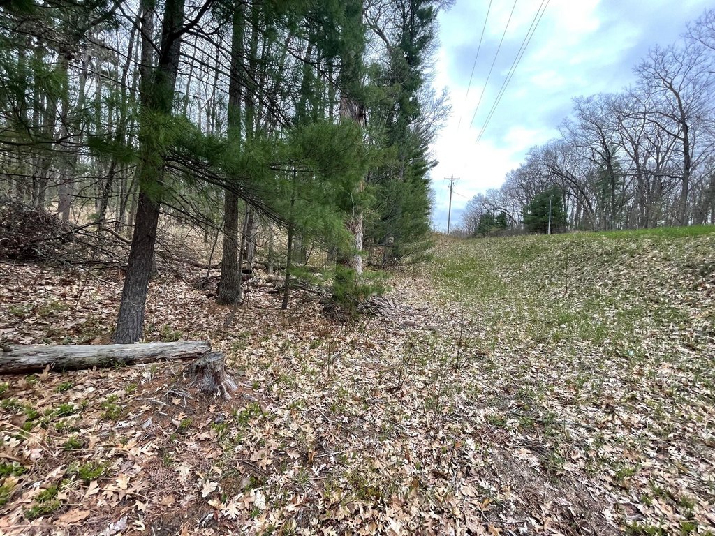 Picture 15