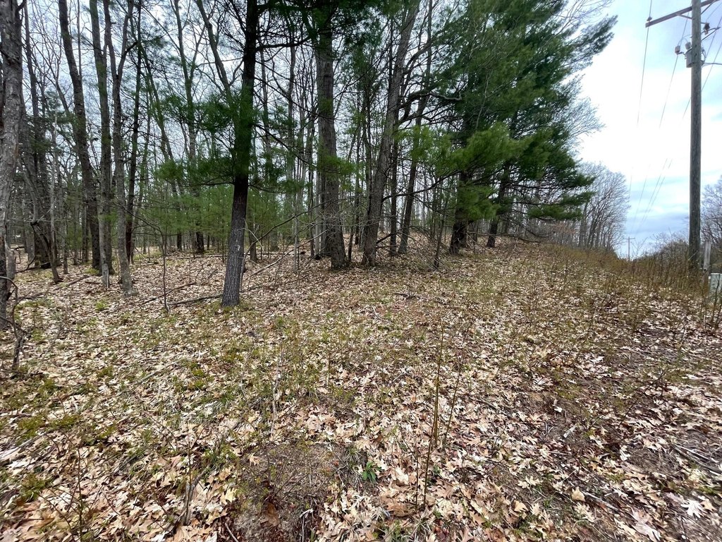 Picture 17