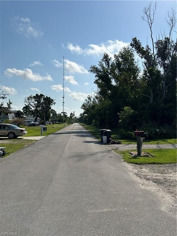 Picture 5