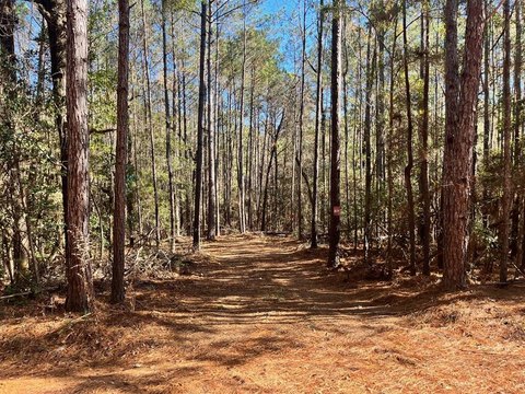 Secluded Acreage in Henry County