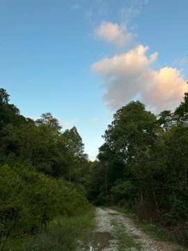 Off-Grid Hunting Land