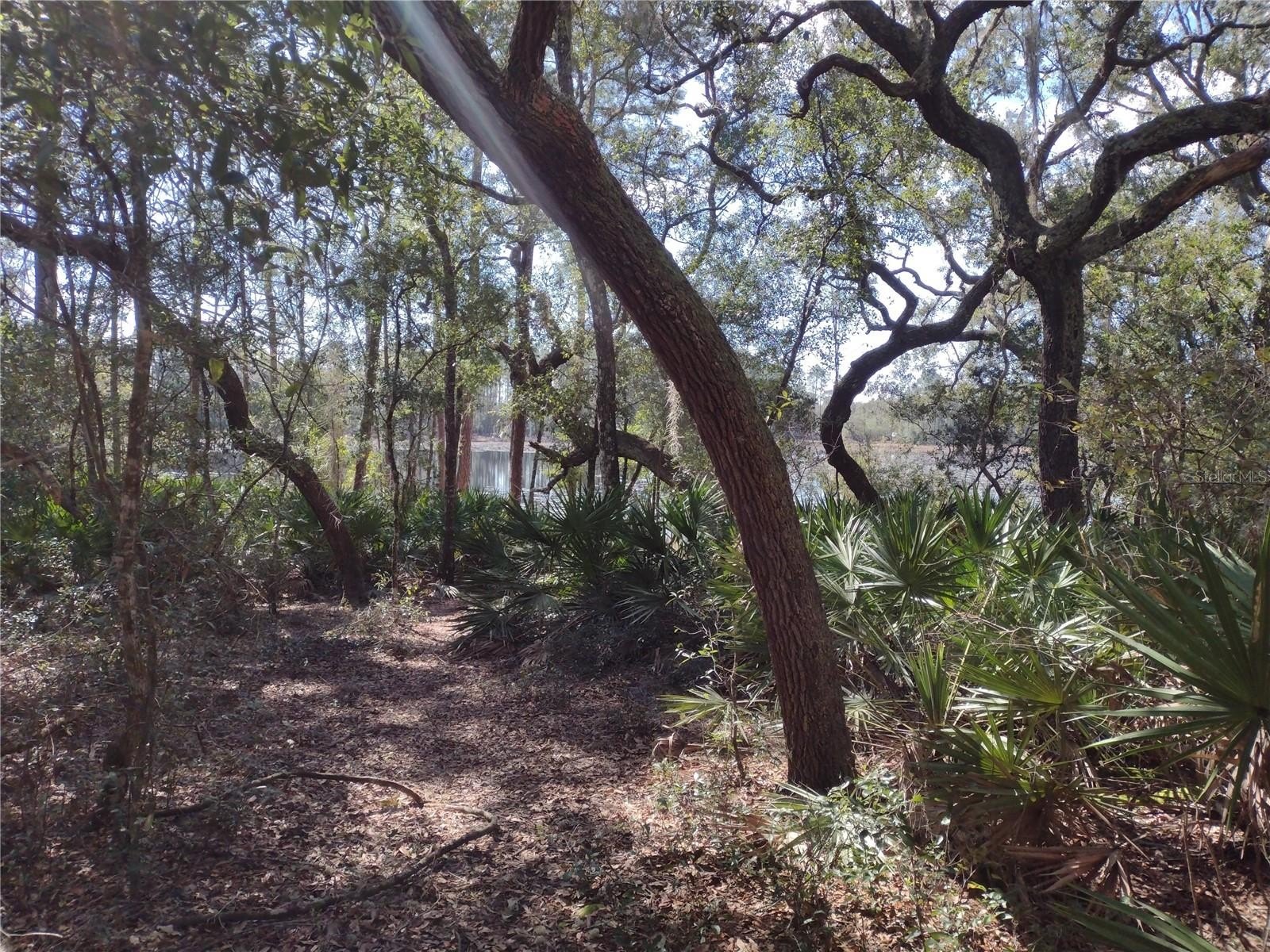 Waterfront Lot with Lake View
