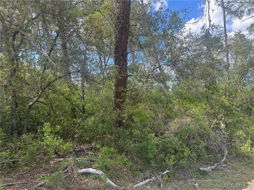 Picture 2