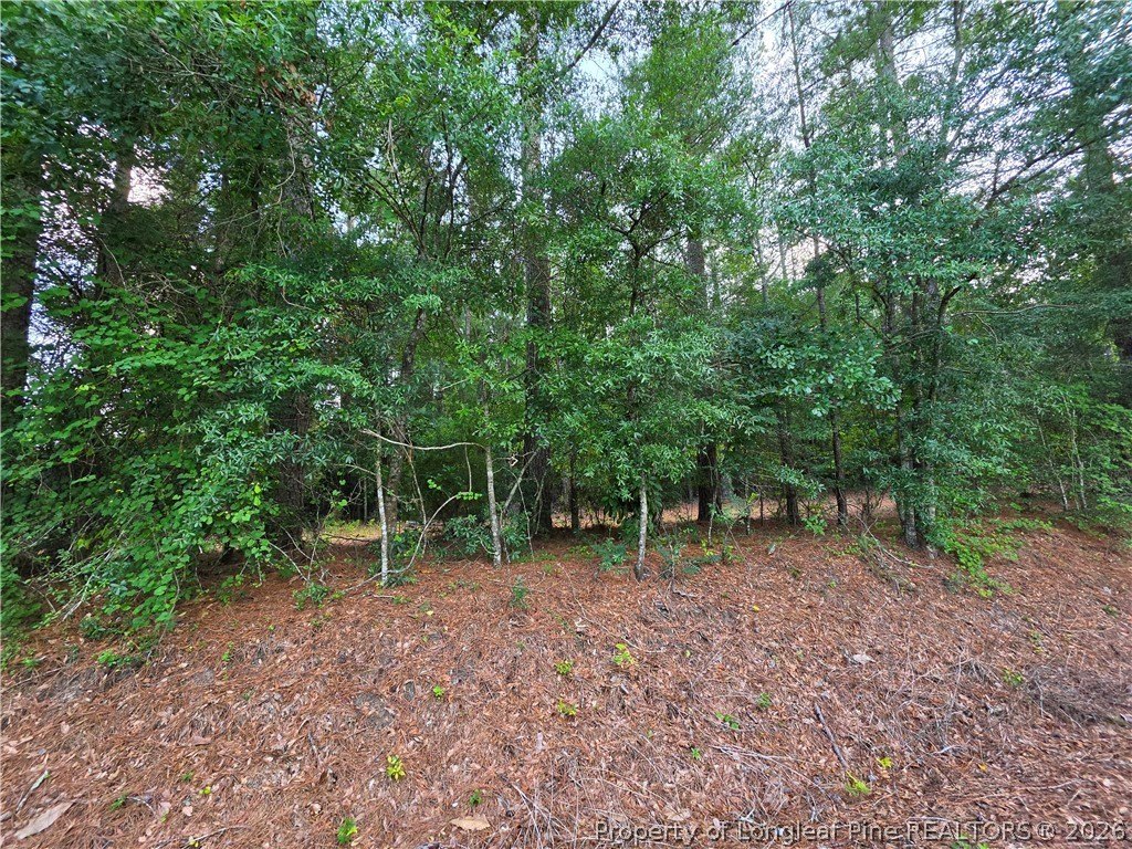 Picture 15