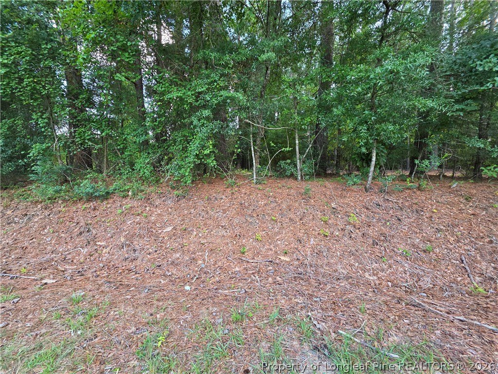 Picture 13