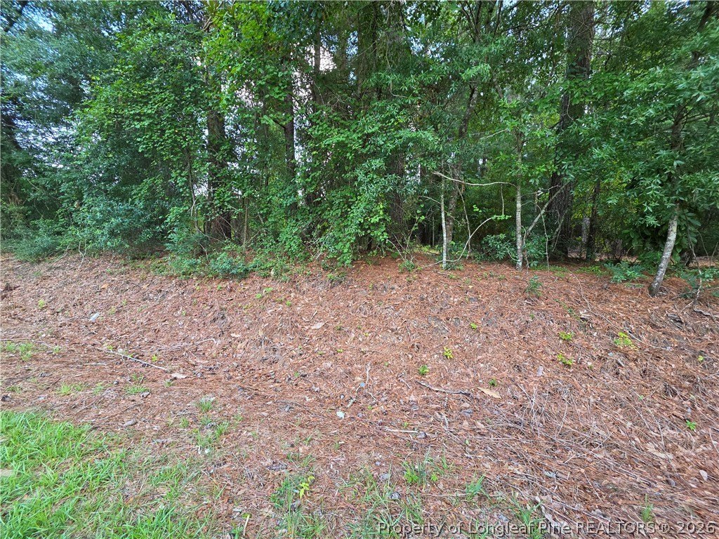 Picture 17