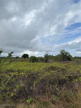 Half-Acre Lot in Lehigh Acres