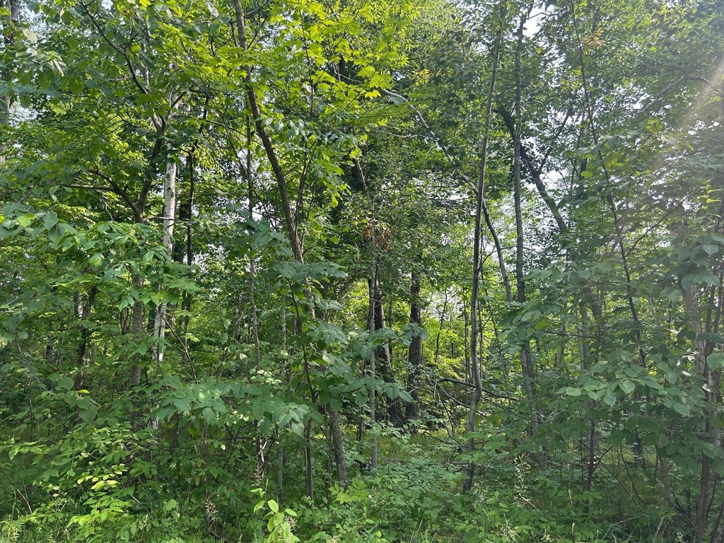 Picture 2