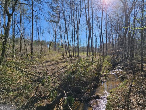 Land, Franklin, GA