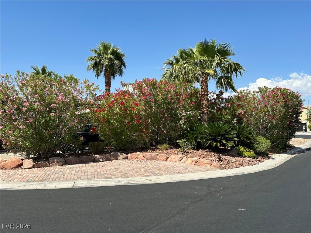 Picture 17
