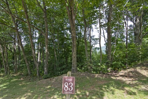 Mountain Homesite in Gated Community