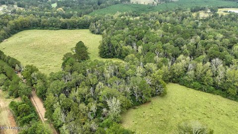 202-Acre Land in Prentiss, MS