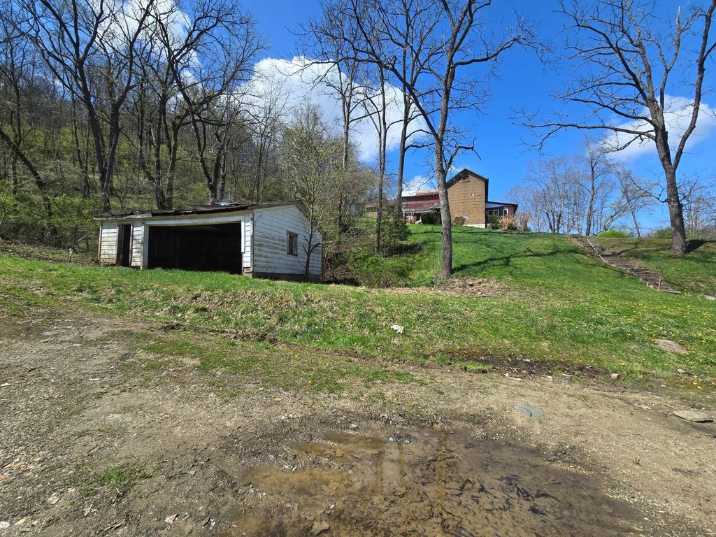 Picture 20