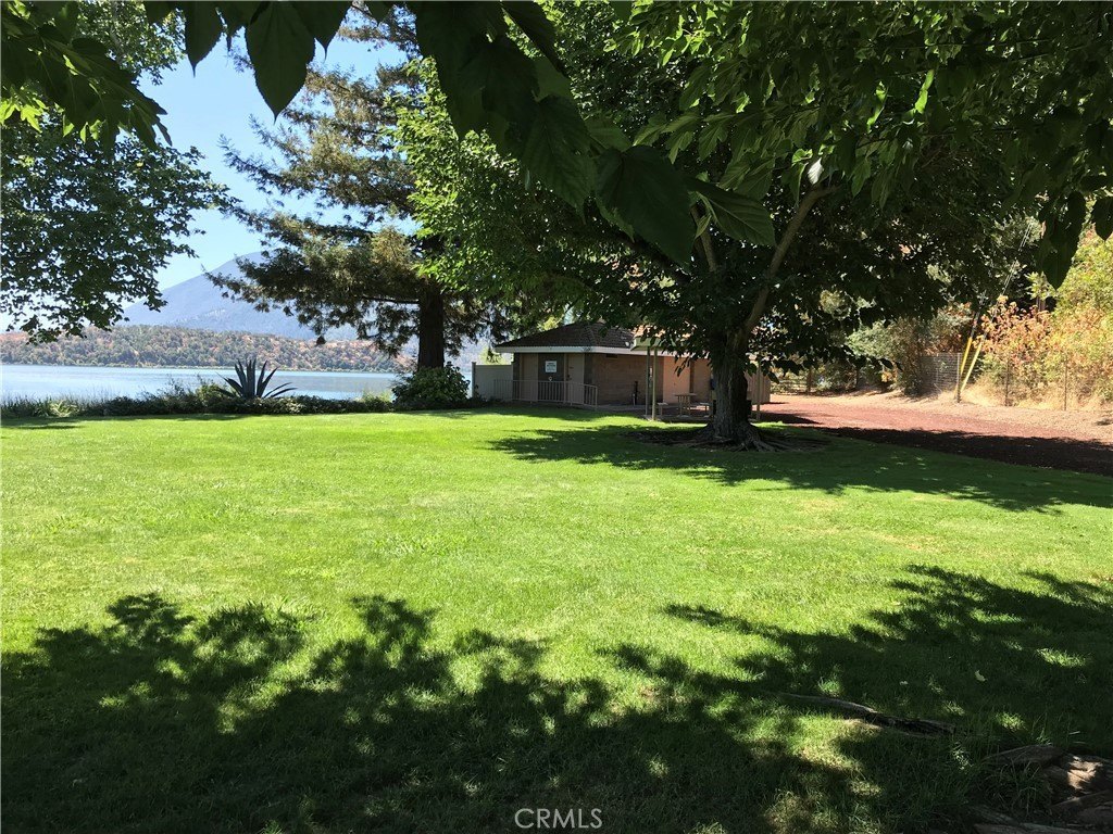 Picture 16